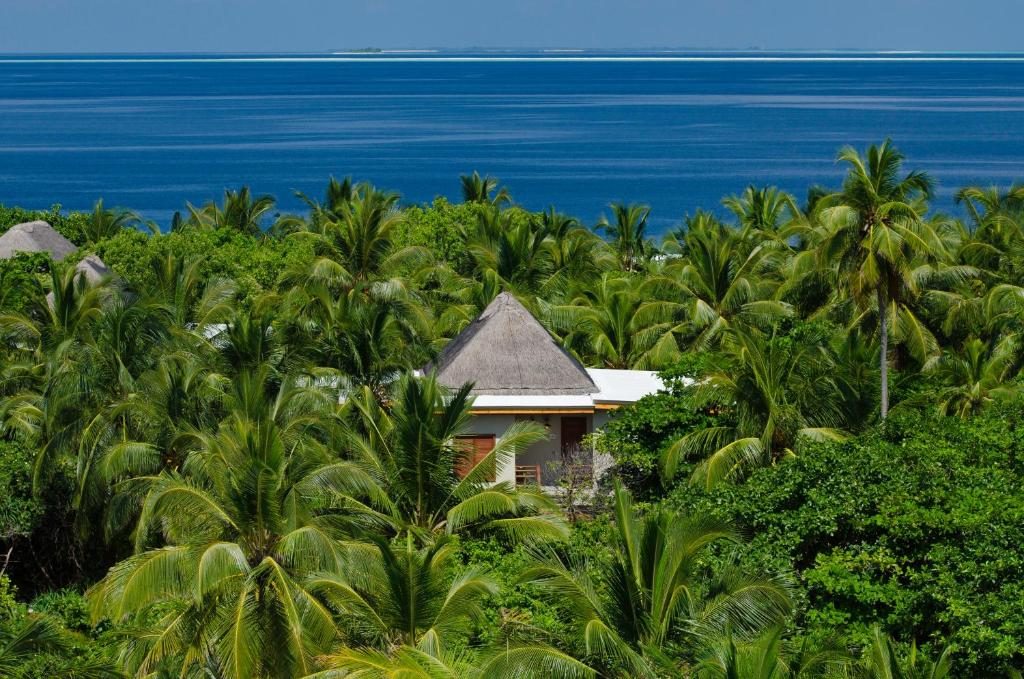 Treetop Pool Villa